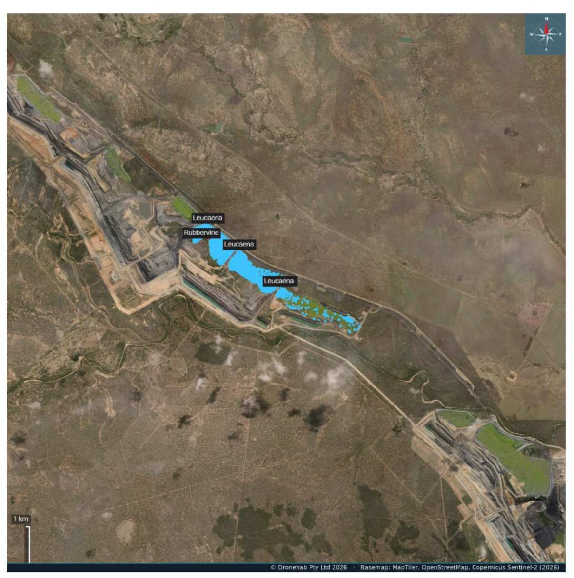 Weed infestations mapped and species-attributed over an orthomosaic, with area calculations
